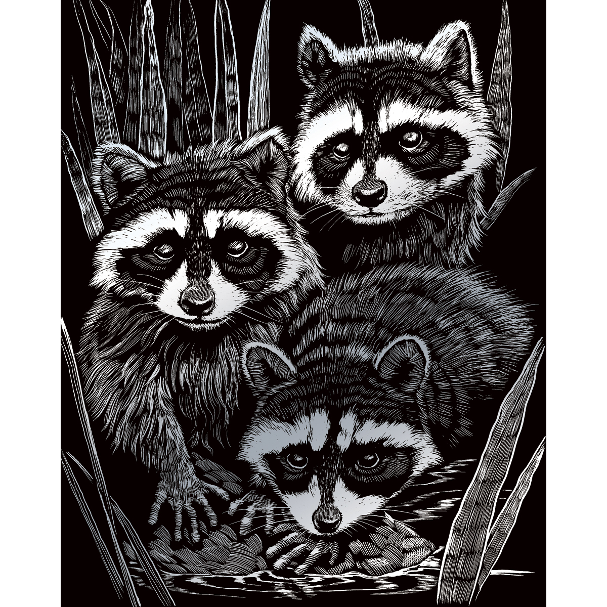 Kratzbild silber 20,3x25,4cm Waschbären