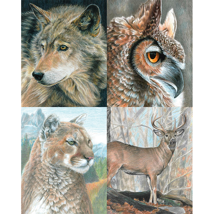 56301208_1 Malen nach Zahlen mit Buntstiften 4 St. Wildtiere