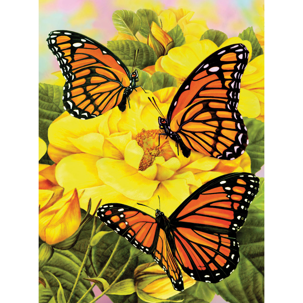 Malen nach Zahlen 33x24cm  Schmetterling