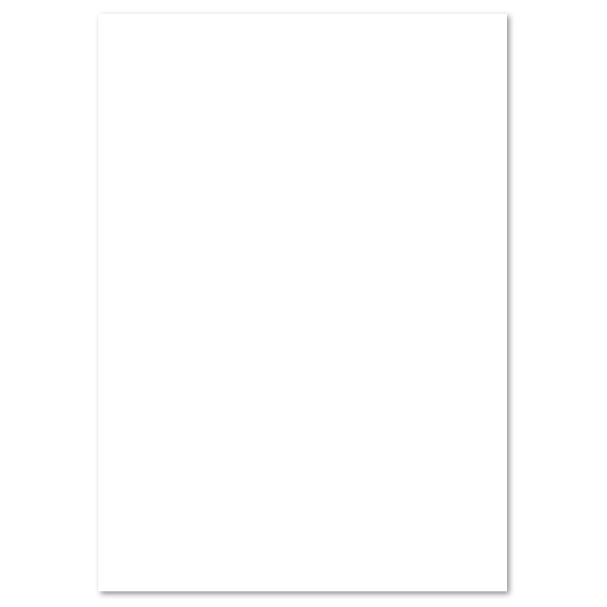 Tonpapier 130g/m² 50x70cm 10 Bl. weiß
