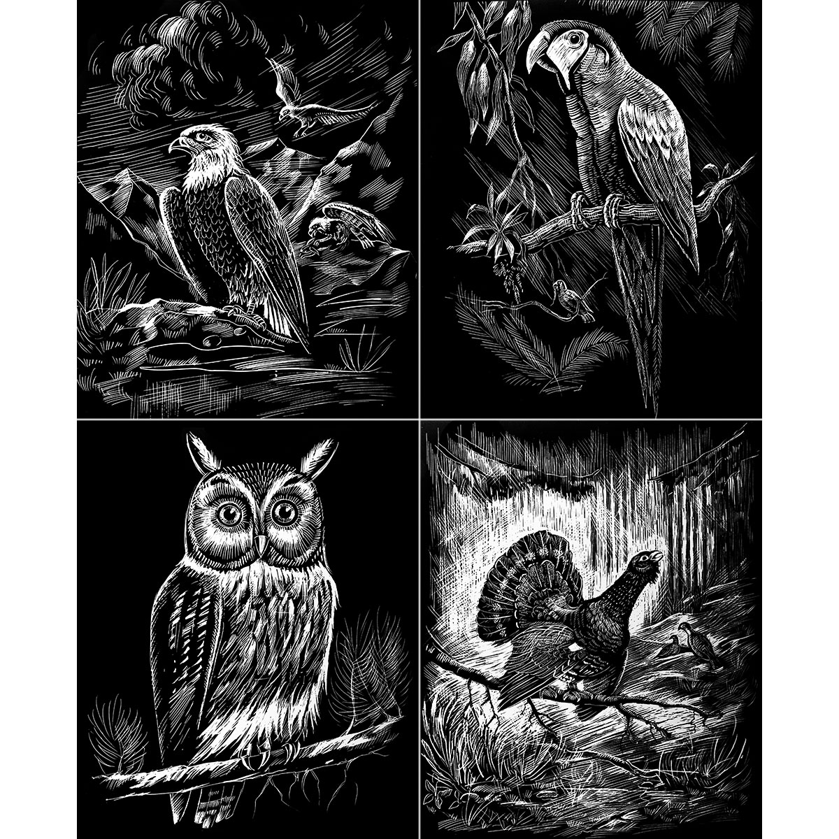 Kratzbilder-Set silber Vögel