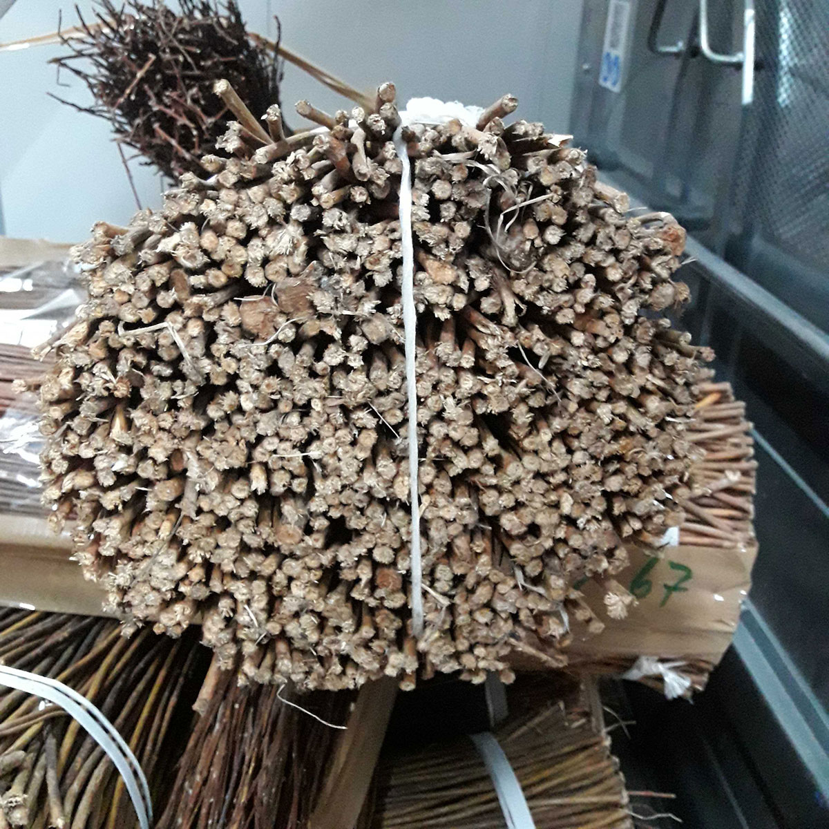 57000120_1Y8FbuuvbQKtAW Weiden ungeschält 100-120cm lang Bund à 5kg