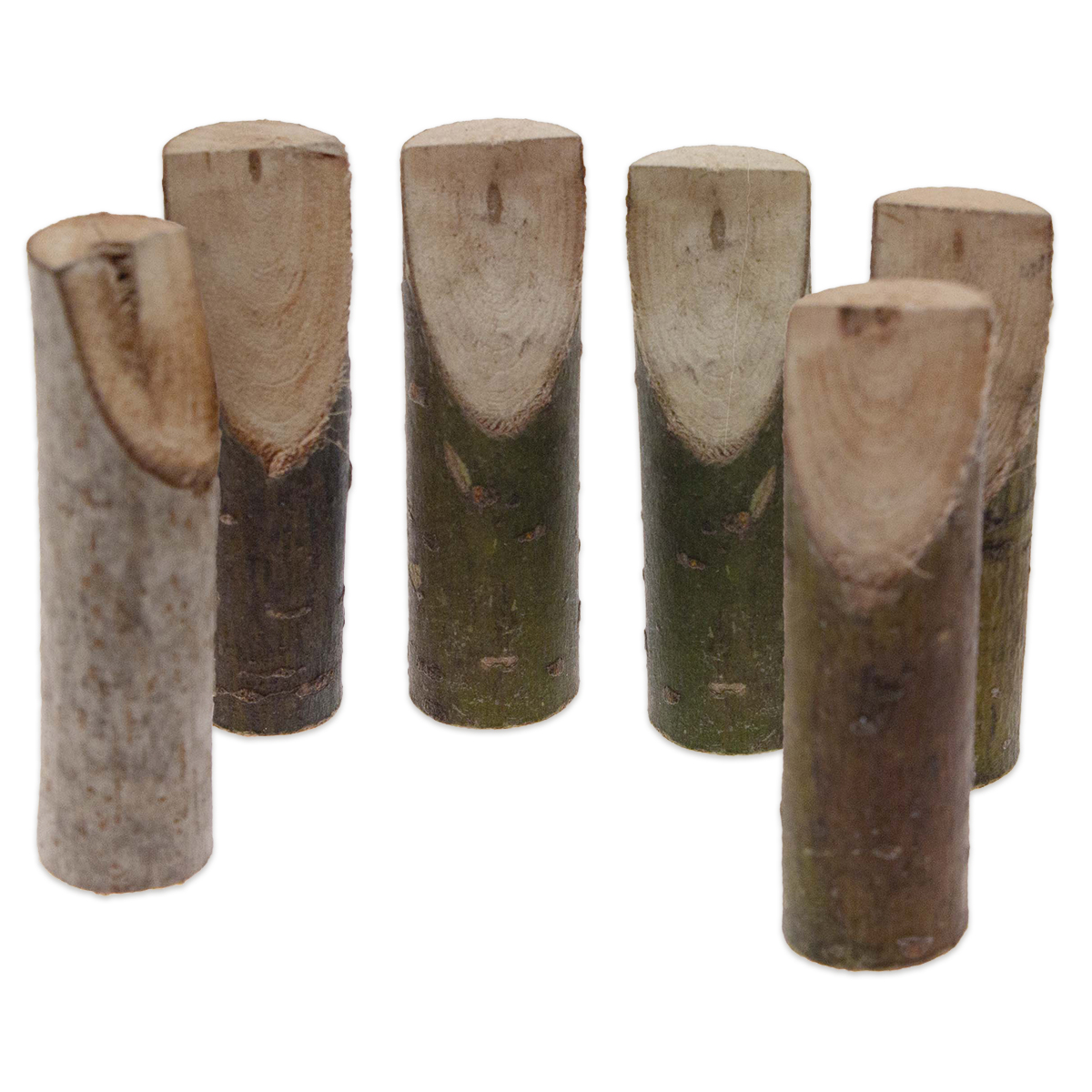 Holzstämme Figurenrohlinge Ahorn 6 St. natur