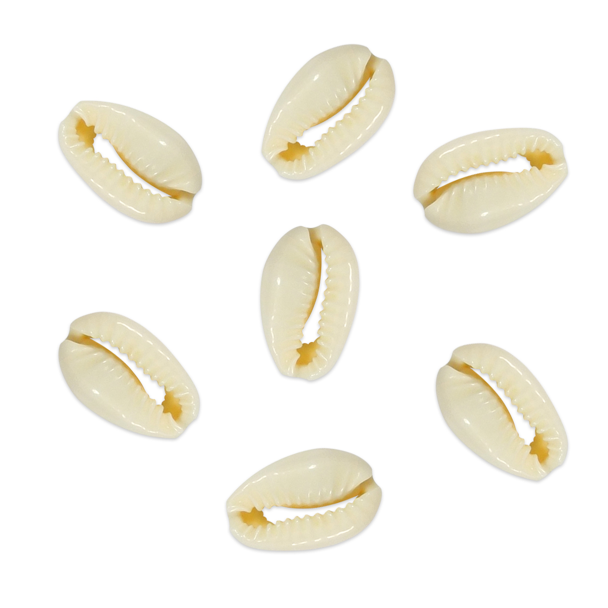 Echte Muschelperlen ca. 20x12mm ca. 50 St. natur