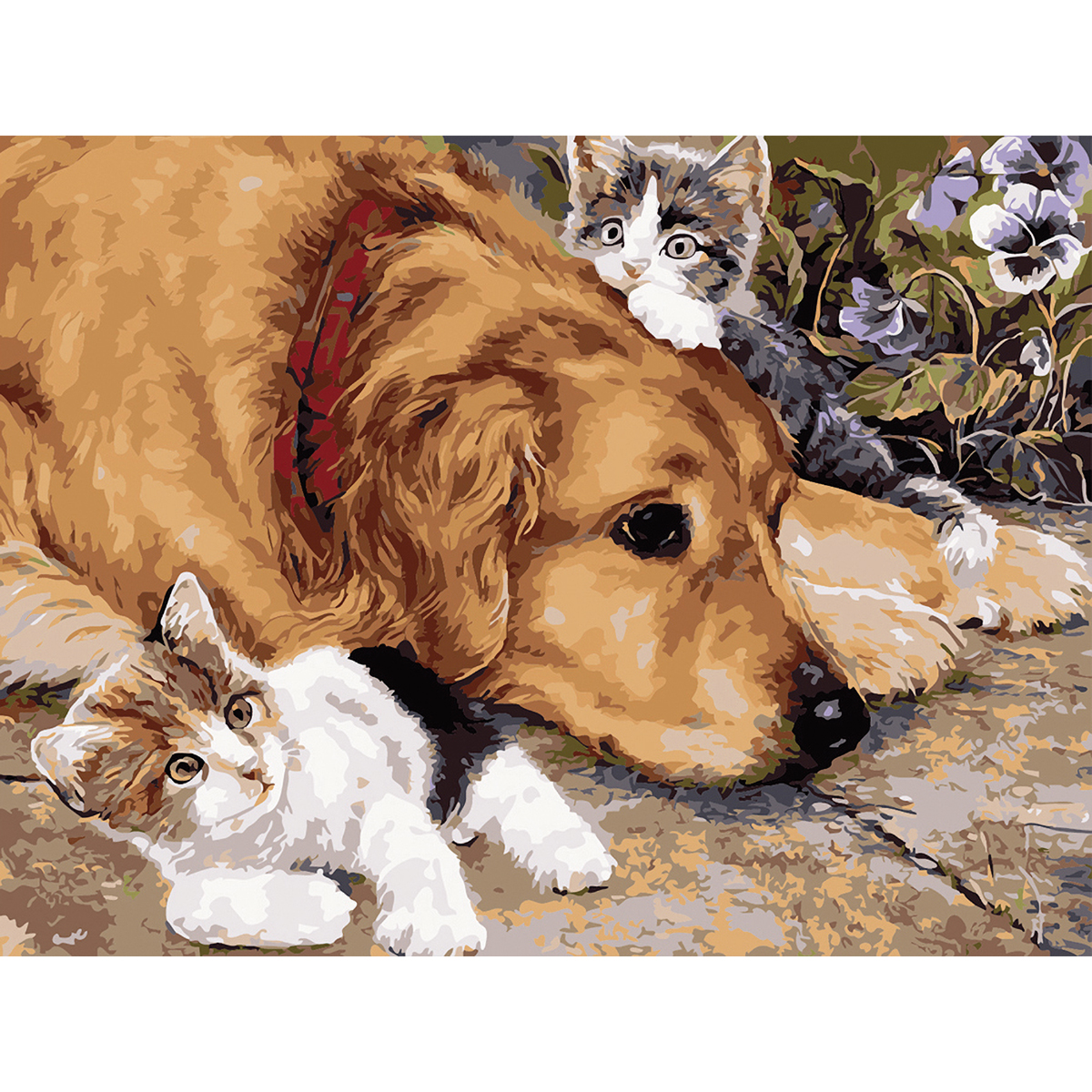 Malen nach Zahlen 39x28,6cm Hund und Katzen