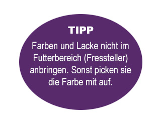 VOGELHAUS_Tipp-4_320x247_desktop8mIrjHXeeZvI2
