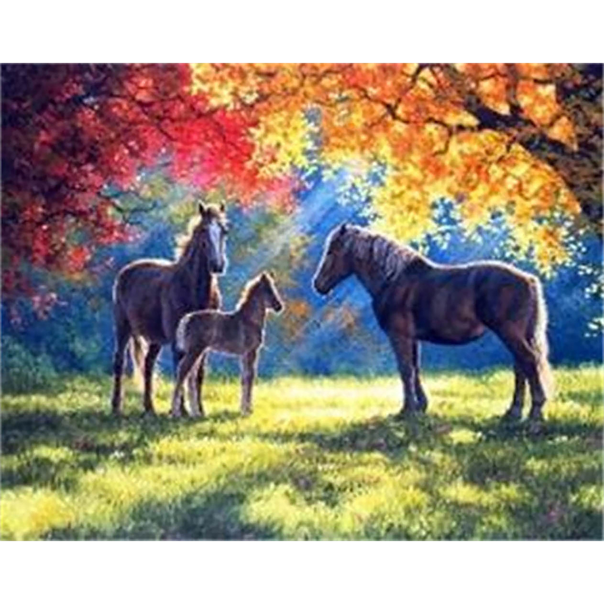 Diamond Painting 30x40cm Pferde im Herbst
