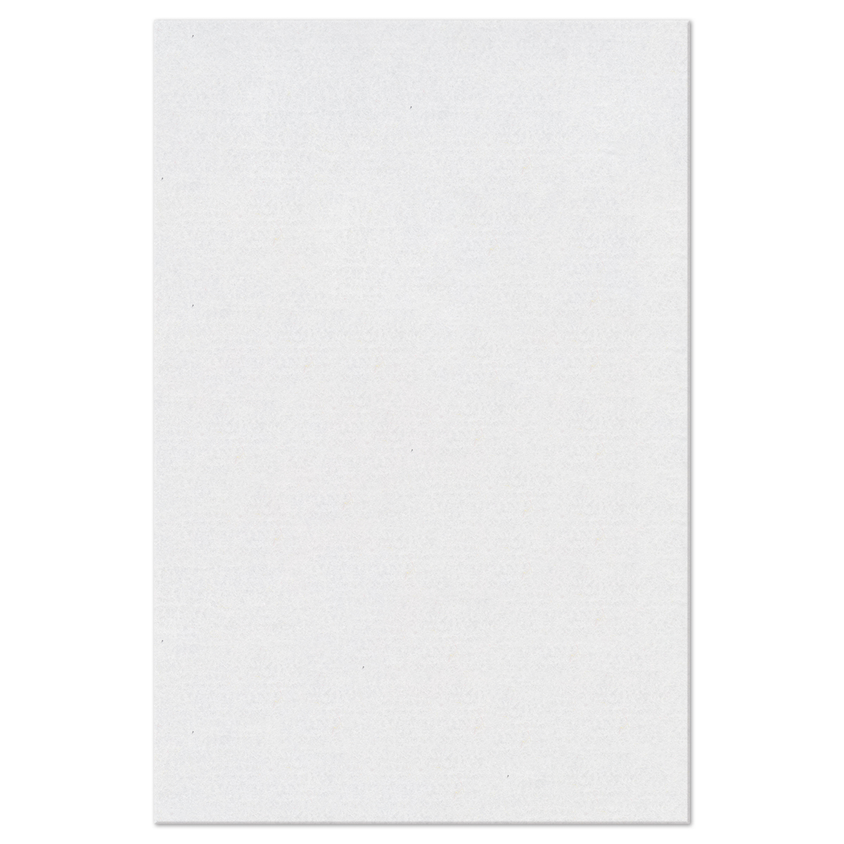 TRENDYfilz 3mm 75x50cm weiß