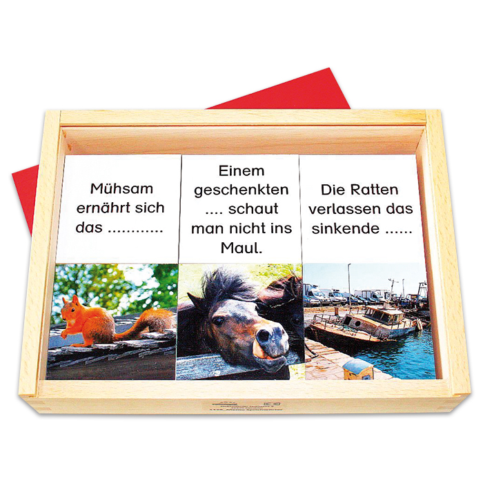 57601126eCoAzpeqQfzyJ Spiel - Memo Sprichwörter 42 Holzkärtchen