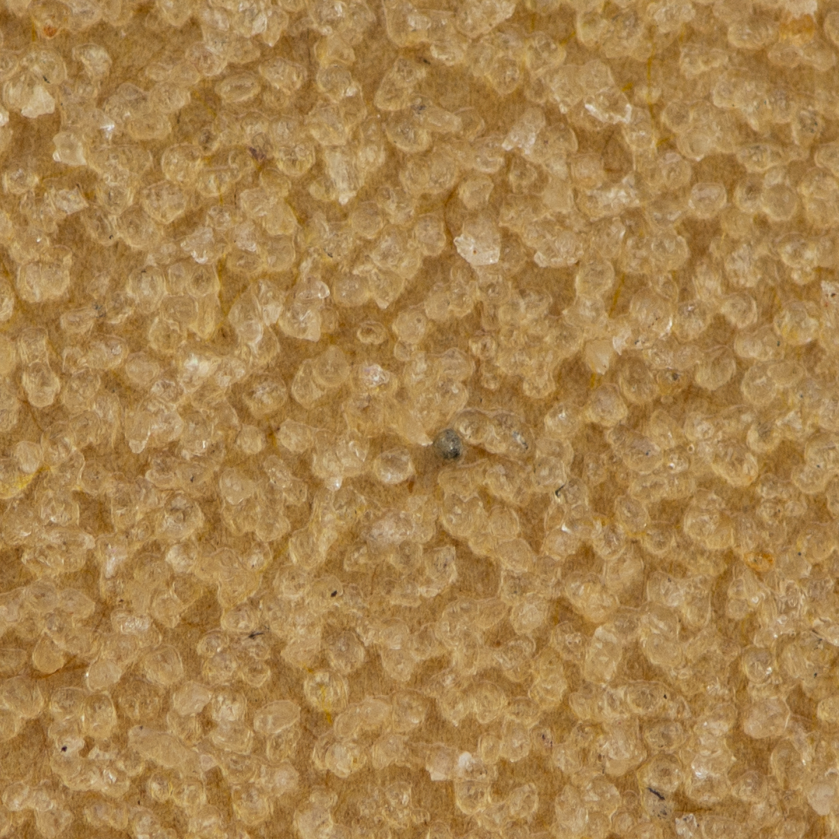 54841004_1 mako Schleifpapier Flint 23x28cm Körnung 40