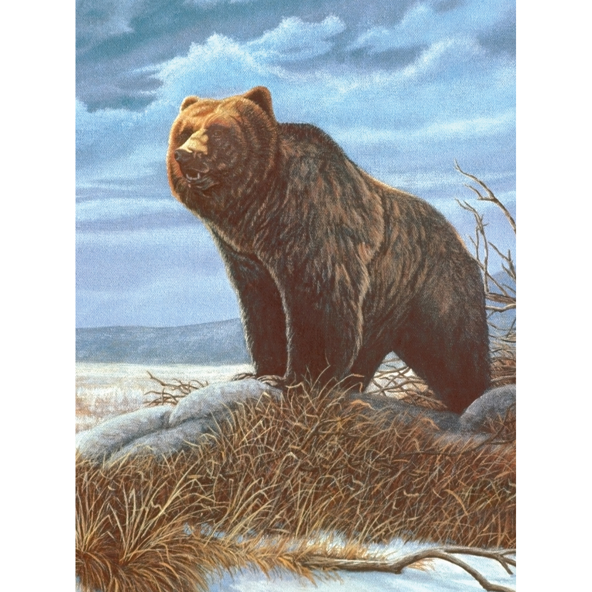 Malen nach Zahlen 22,2x29,8cm Grizzly