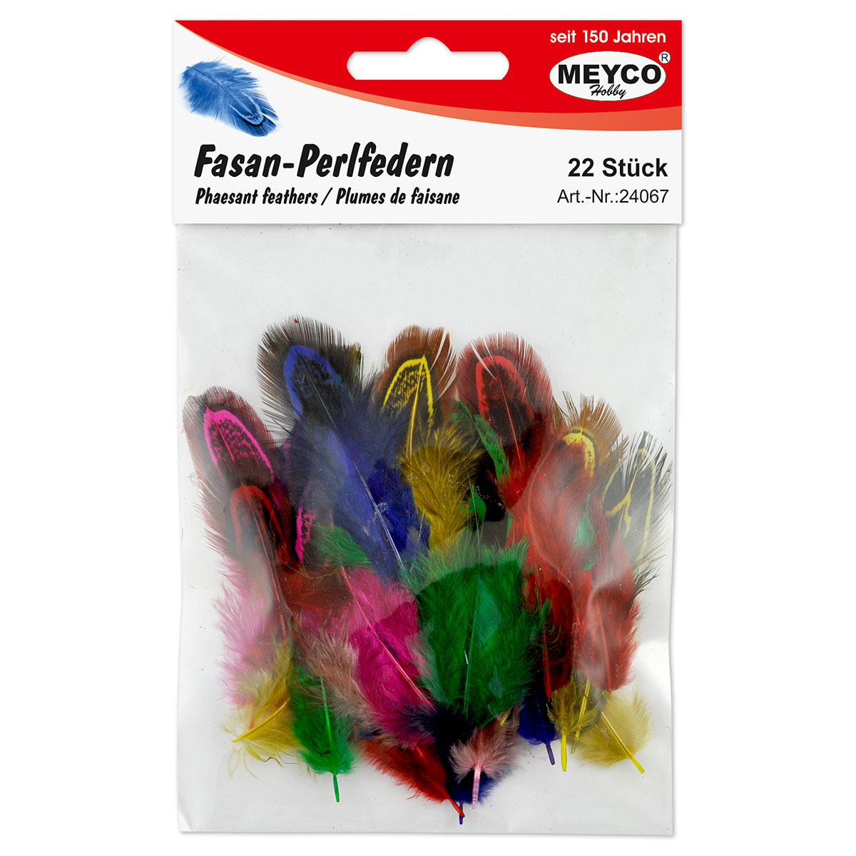 50224080_1 Fasan-Goldside-Federn 6-8cm 24 St. bunt