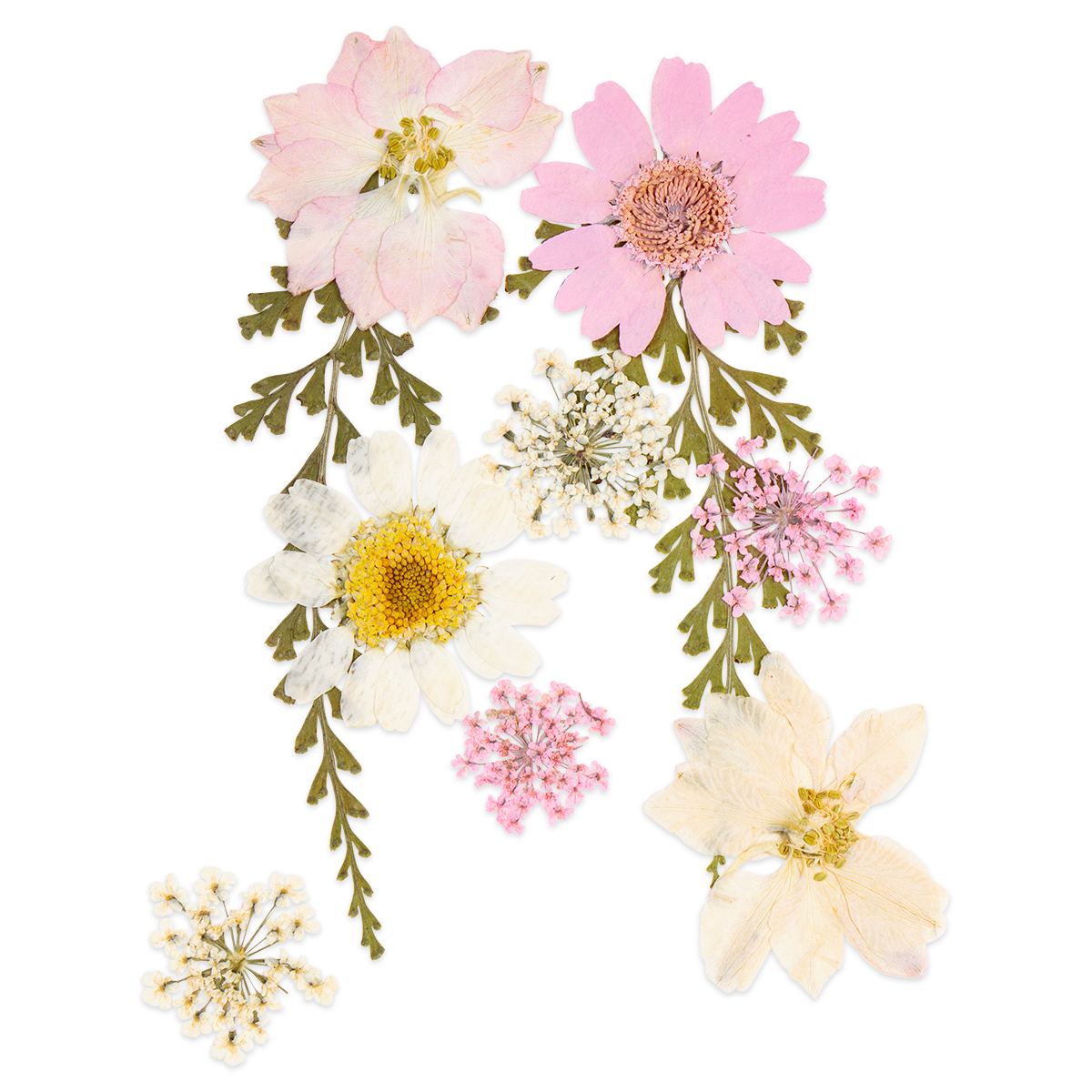 Gepresste Trockenblumen 10x7cm hellrosa