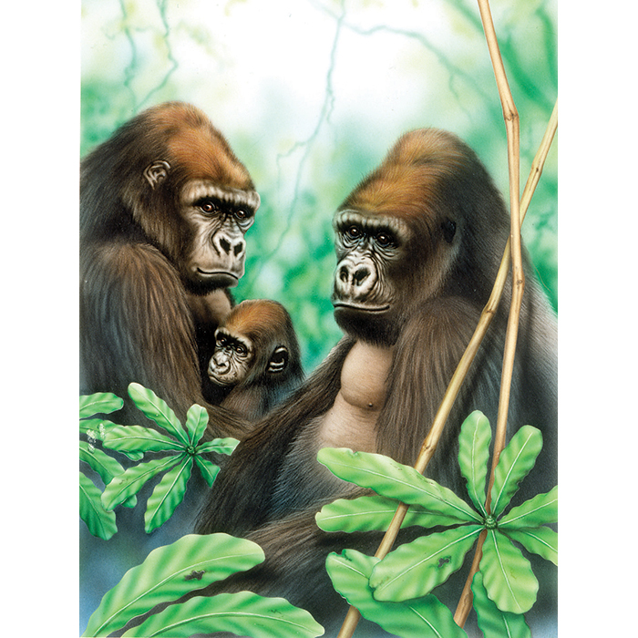 56300541 Malen nach Zahlen 22,2x29,8cm Gorillas