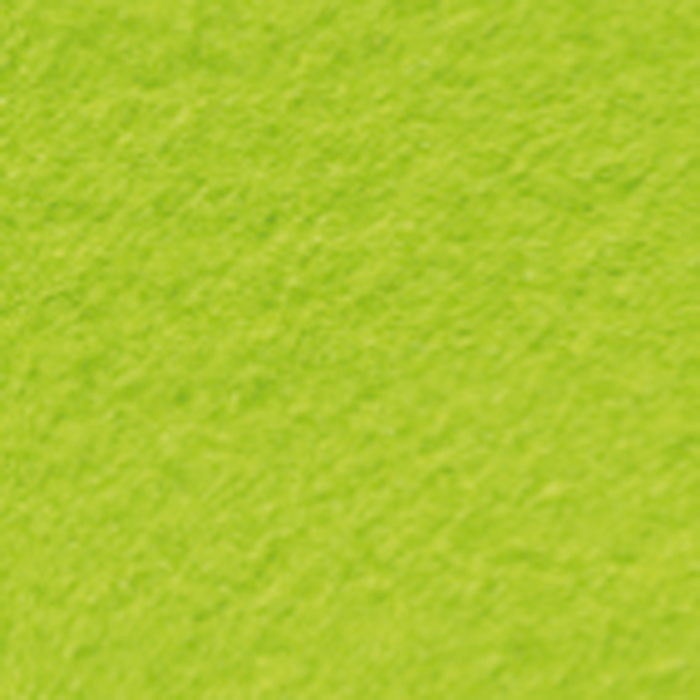 Bastelfilz ca. 1mm 20x30cm 10 St. hellgrün