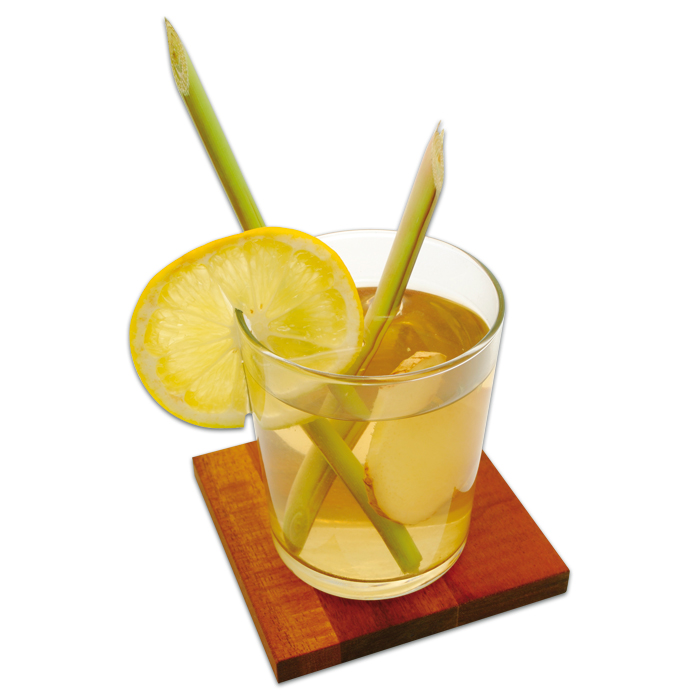 Kerzen-Duftöl 10ml Lemongras Anti-Mücken