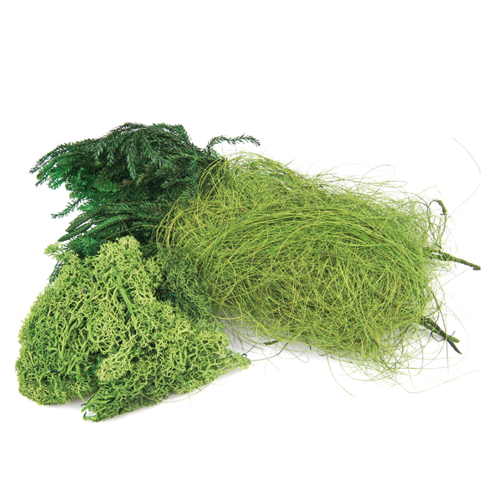 Moos gemischt 50g 3 Sorten