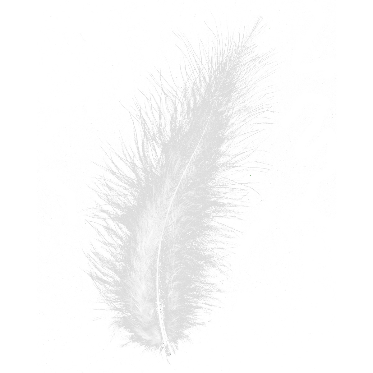 Flaum-/ Federn ca. 9cm 15 St. weiß
