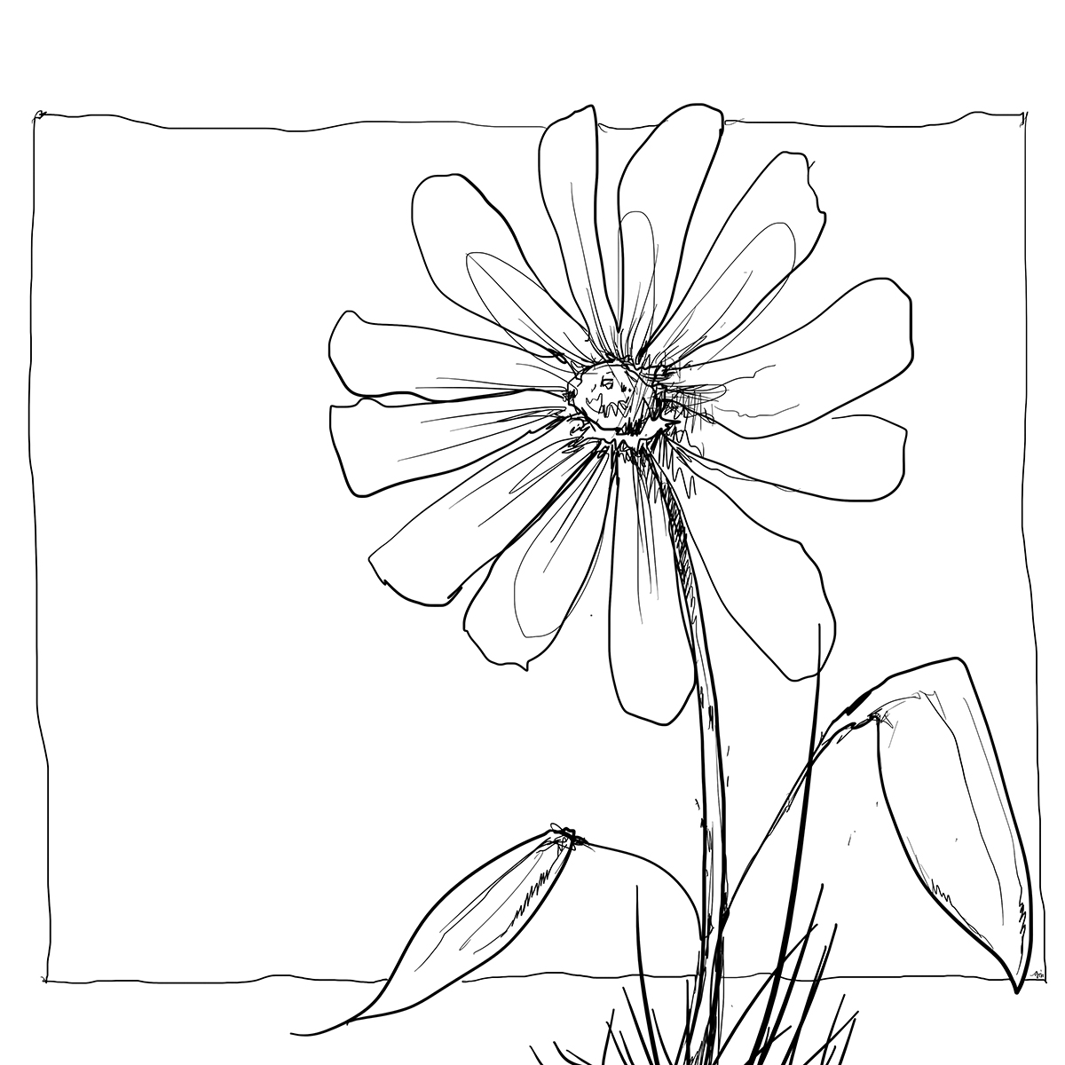 Color Sketch-Keilrahmen 20x20cm Blume 4