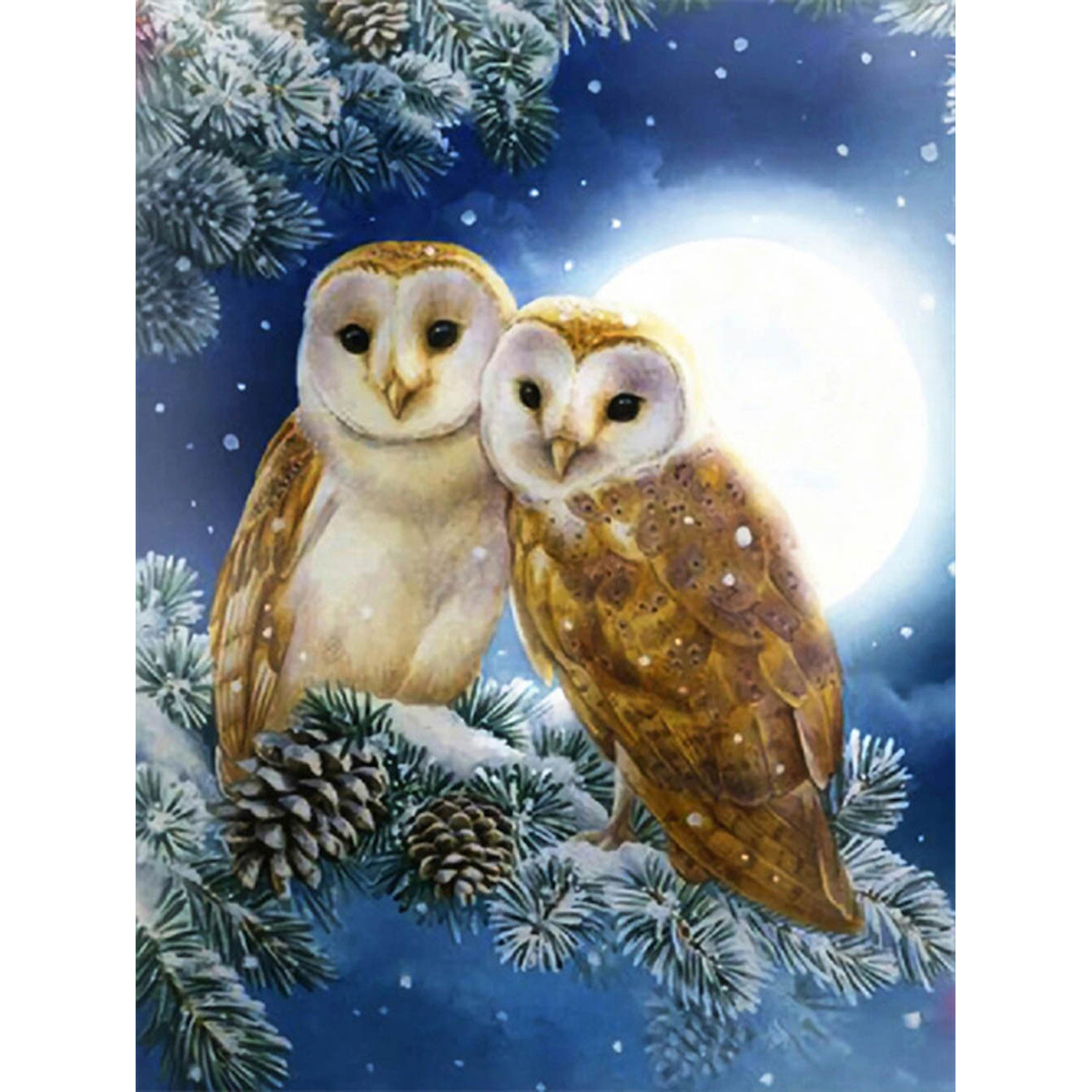 Diamond Painting 40x50cm Eulen