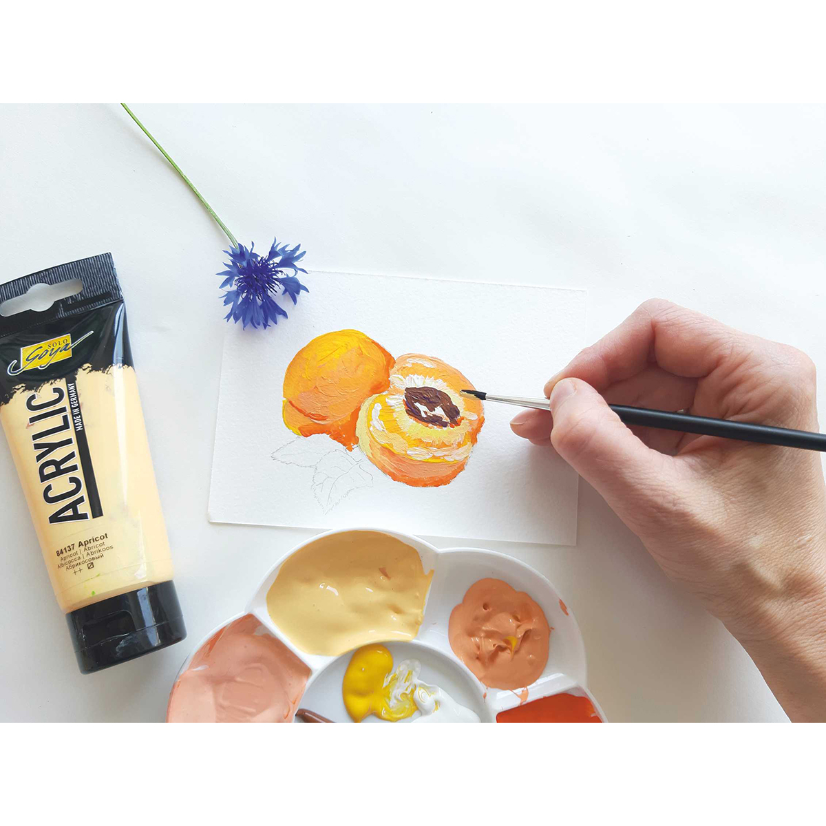 52084173_3 SOLO GOYA Acrylic 32 Farben à 20ml