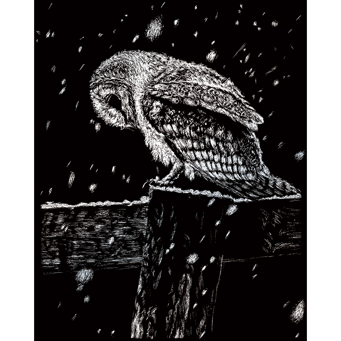 563001414dG8QWPkjIRM8 Kratzbild silber 20,3x25,4cm Eule im Schneefall