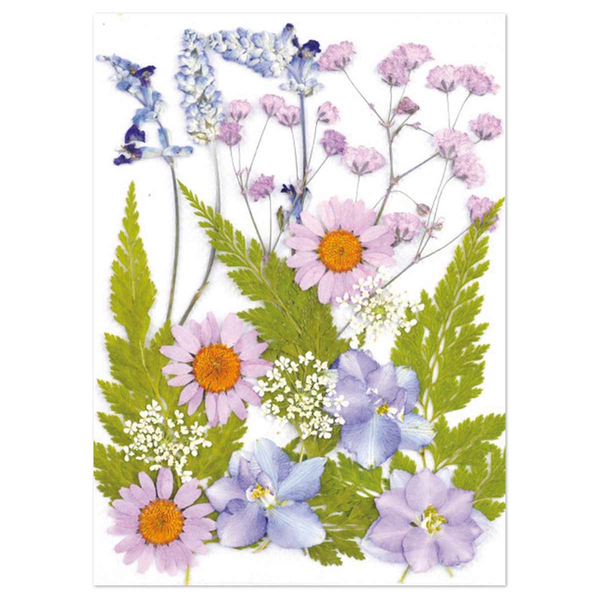 Gepresste Trockenblumen 13x18cm violett