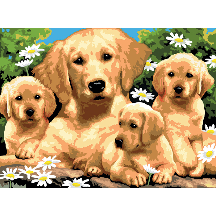 56300712Dv6FZGRMVb7ps Malen nach Zahlen 28,6x39cm Golden Retriever