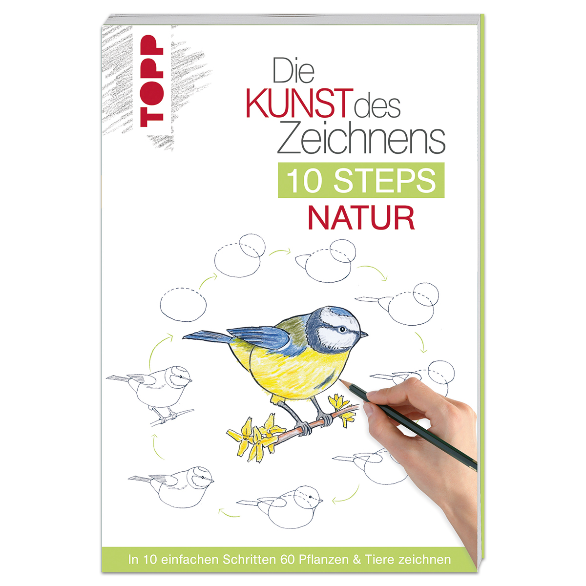 Buch - Die Kunst des Zeichnens 10 Steps Natur