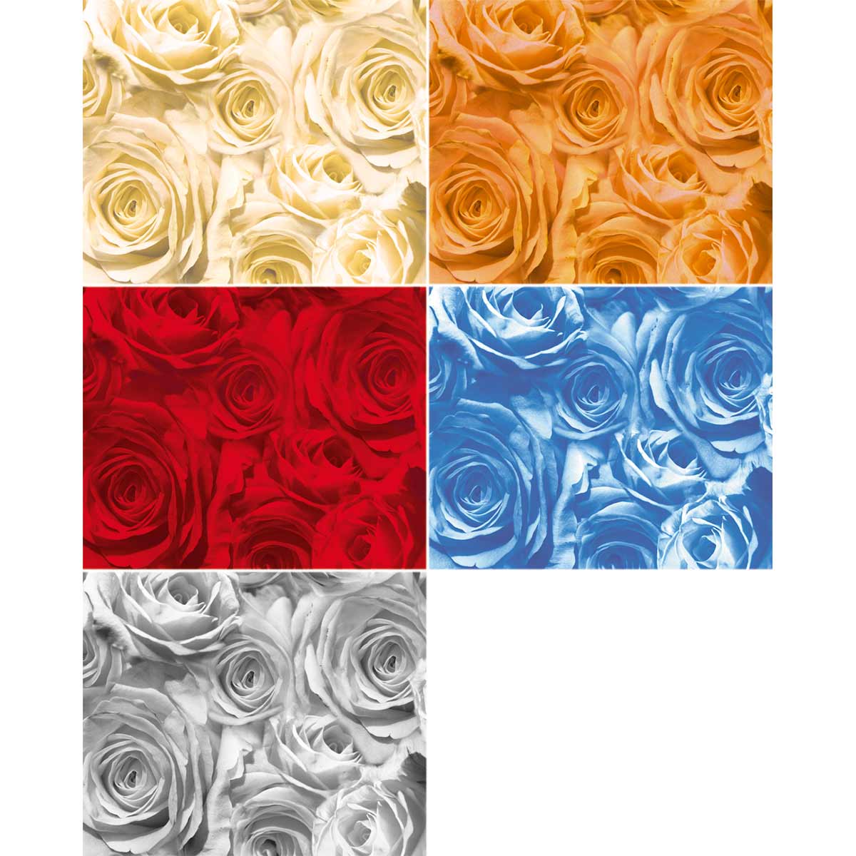 Transparentpapier-Set Rosen