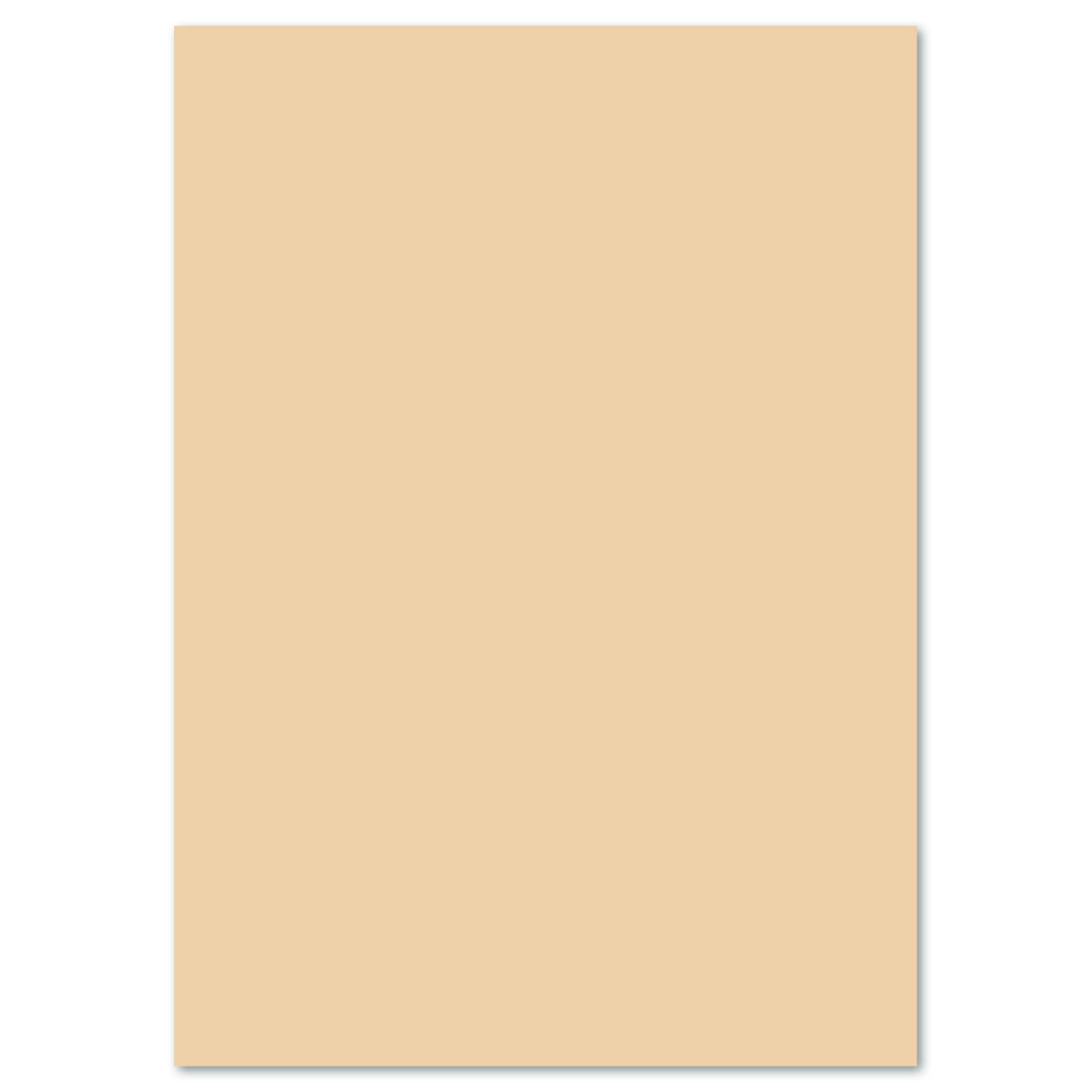 Tonkarton 220g/m² 50x70cm 25 Bl. chamois