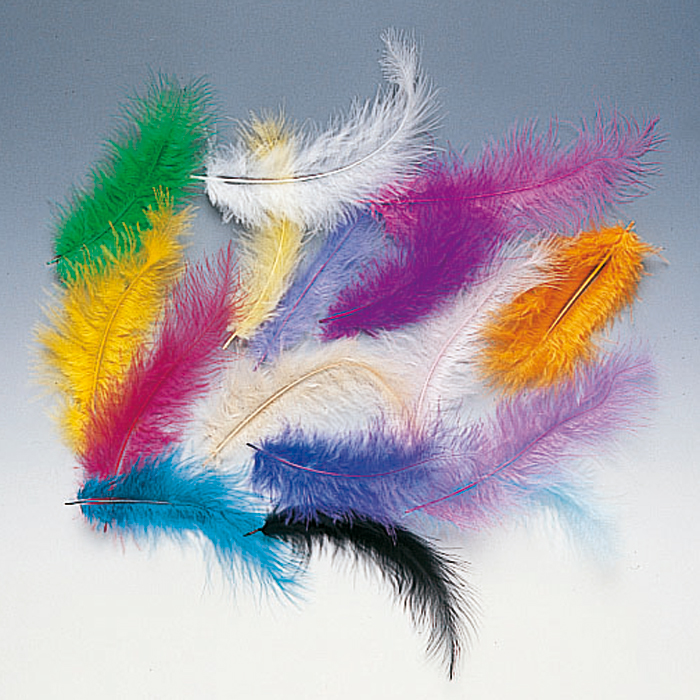 Federn 6-14cm 15 St. bunt