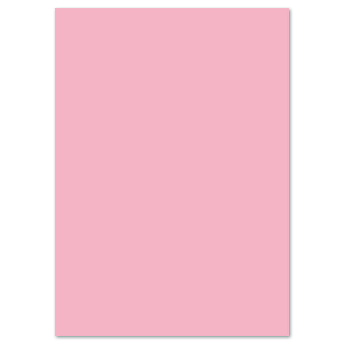Fotokarton 300g/m² 50x70cm 10 Bl. rosa