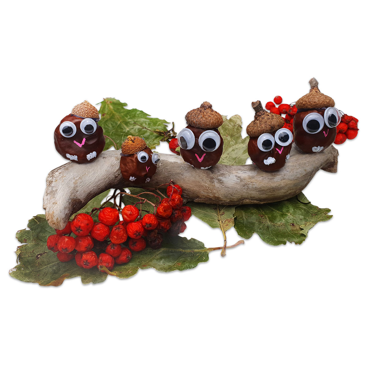 50261991_1 Wackelaugen rund Kunststoff 100 St. mix