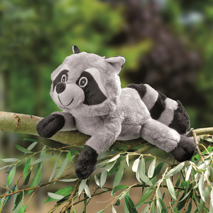 54946381cSKHMFwjOPPfG Creativ-Set Waschbär Luki ca. 39cm