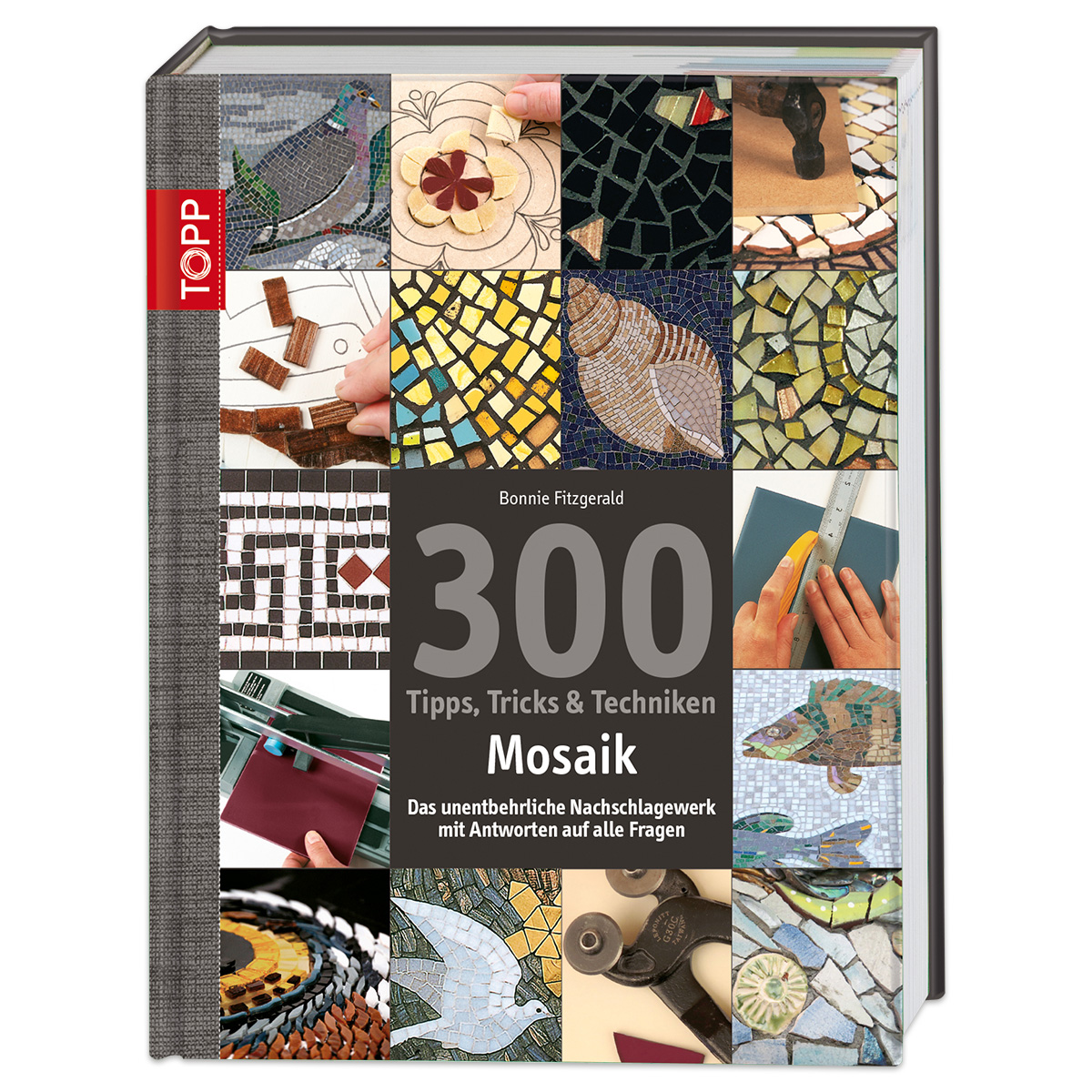 Buch - 300 Tipps, Tricks & Techniken Mosaik