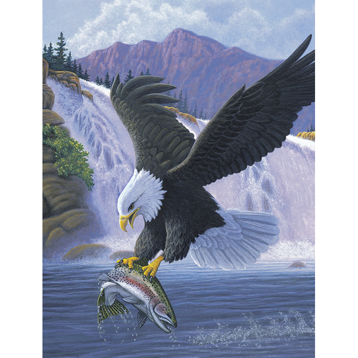 Malen nach Zahlen 22,2x29,8cm Weißkopfseeadler
