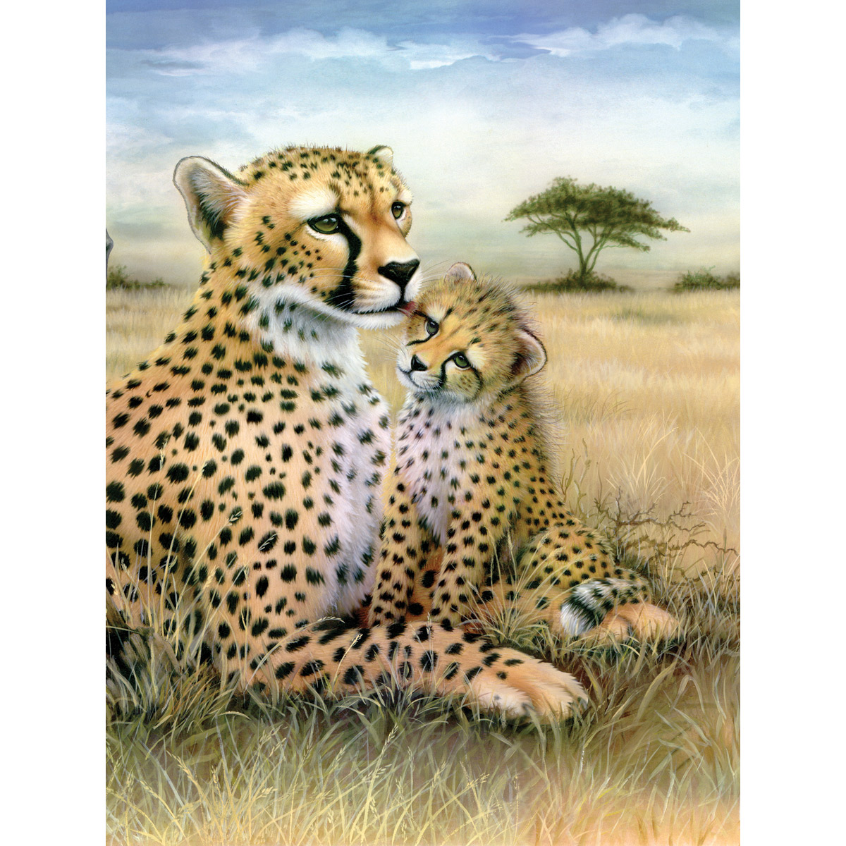 Malen nach Zahlen 22,2x29,8cm Leopard
