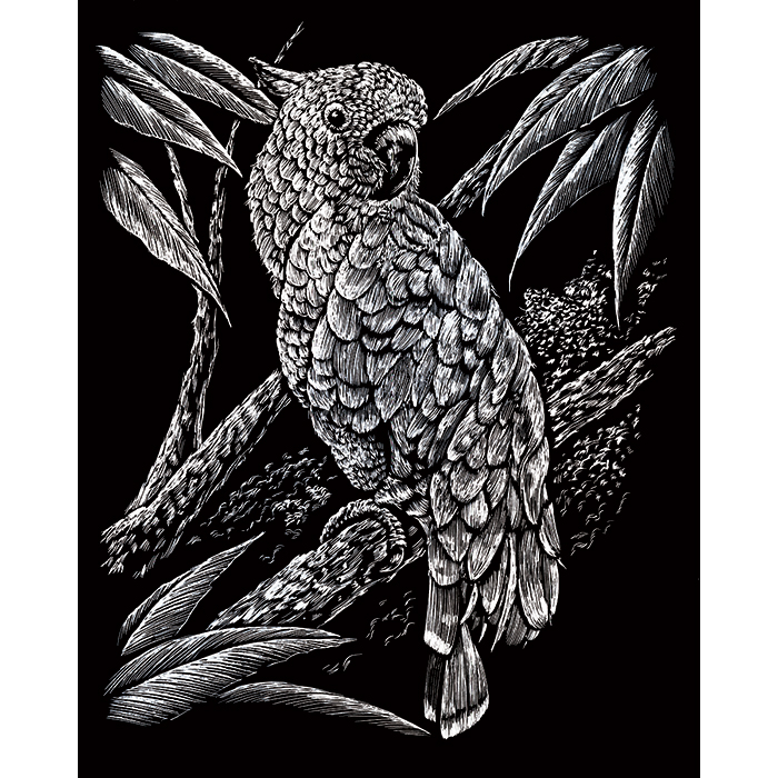 Kratzbild silber 20,3x25,4cm Kakadu