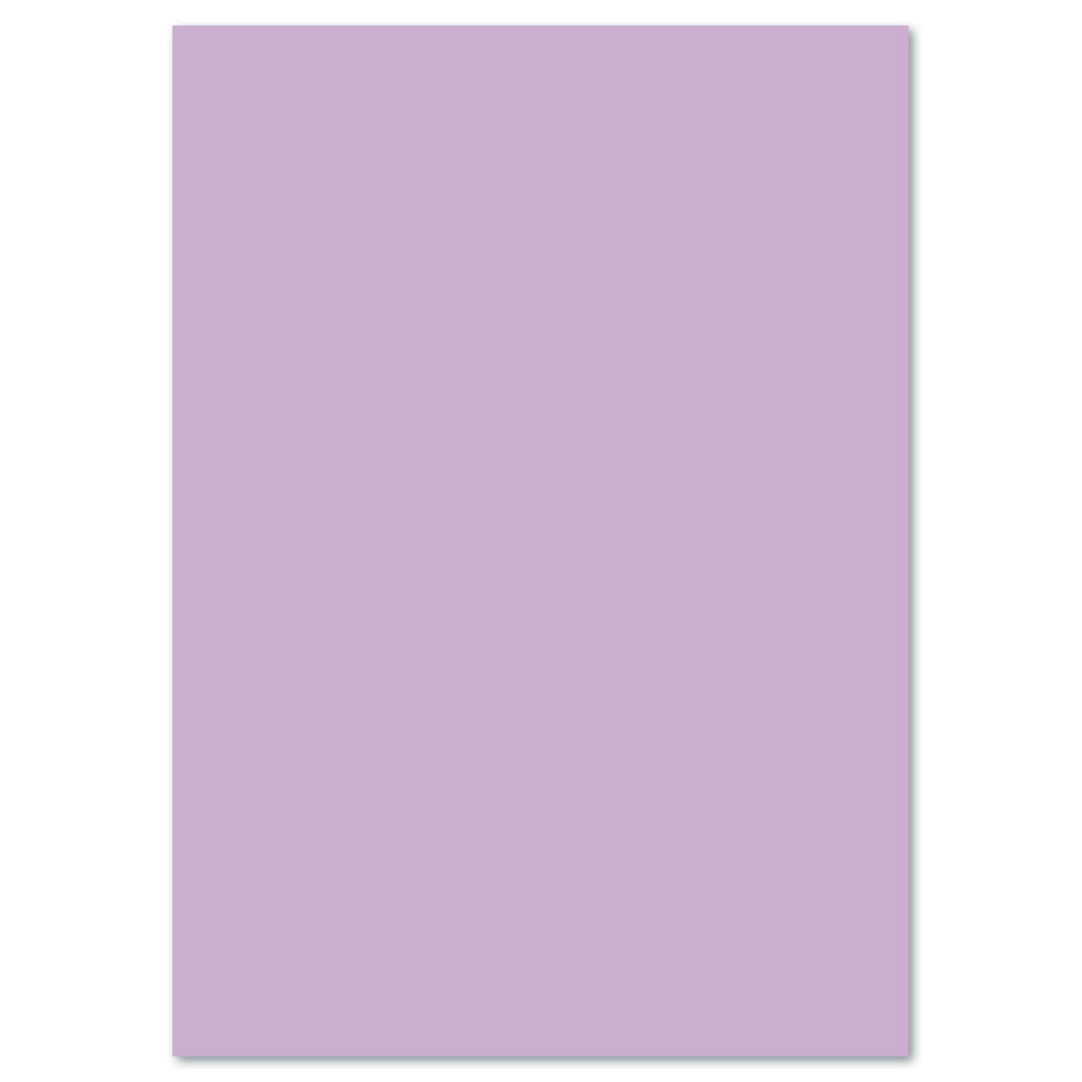 Tonkarton 220g/m² 50x70cm 25 Bl. lila