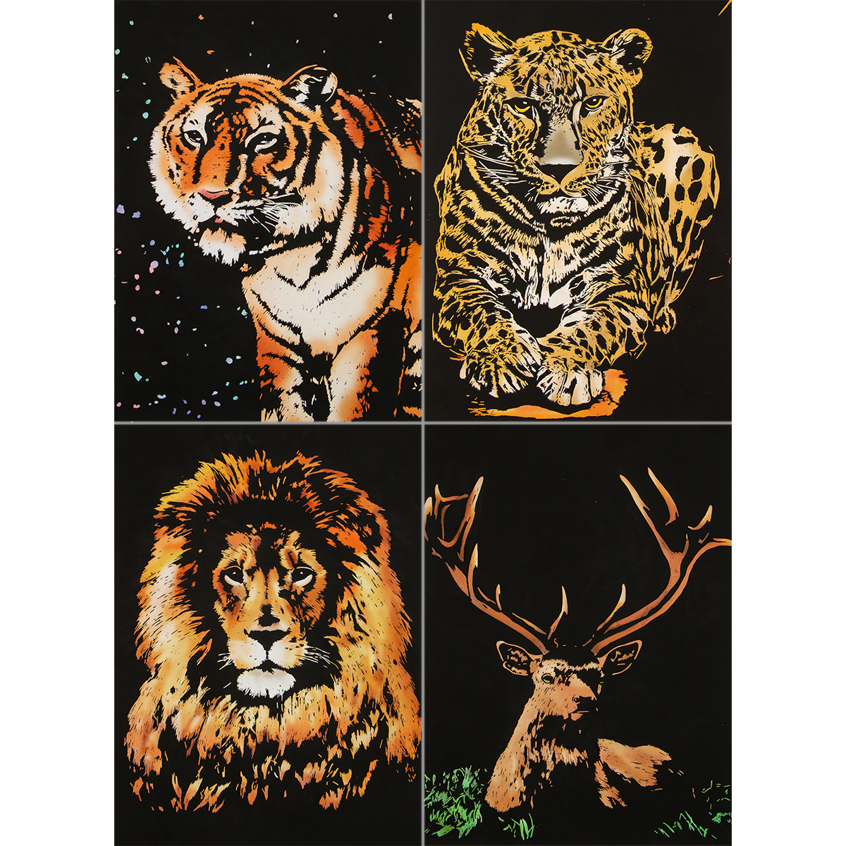 Kratzbilder-Set Rainbow 4 St. Wildtiere
