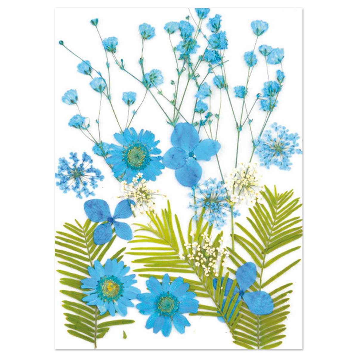 Gepresste Trockenblumen 13x18cm blau