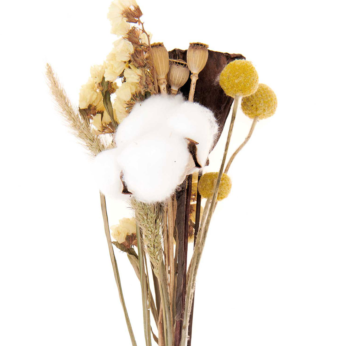 Trockenblumen-Set natur gelb