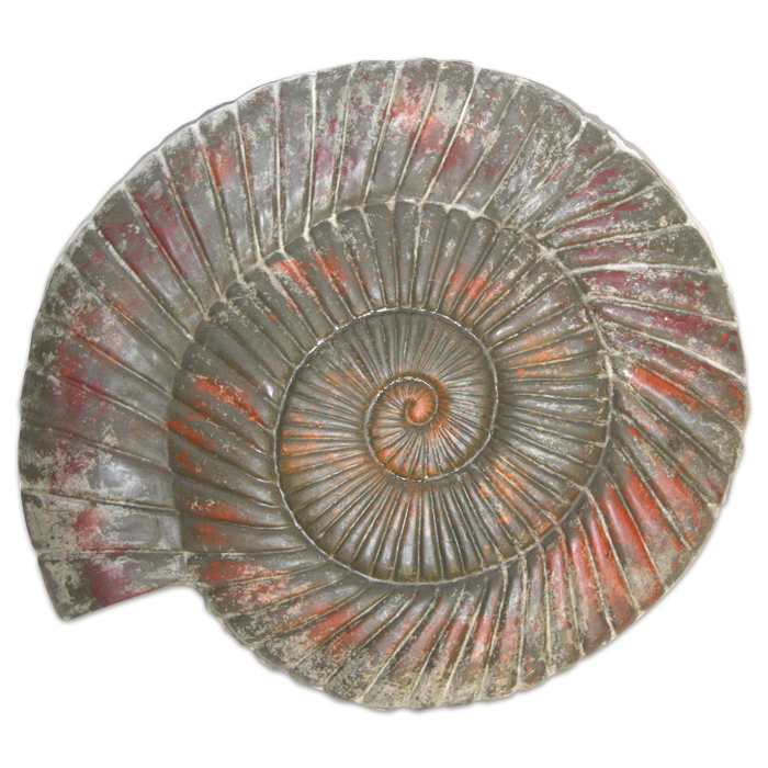 52688219HnIkM9s1IJScG Gießform Schnecke (Ammonit) 34x38cm