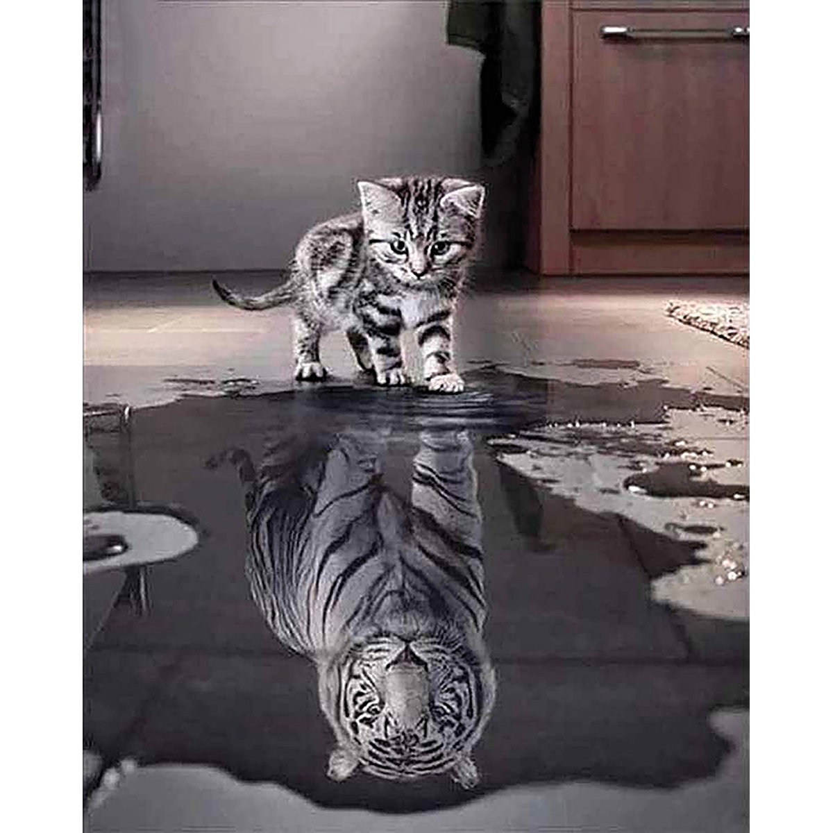 Diamond Painting 40x50cm Katze und Tiger