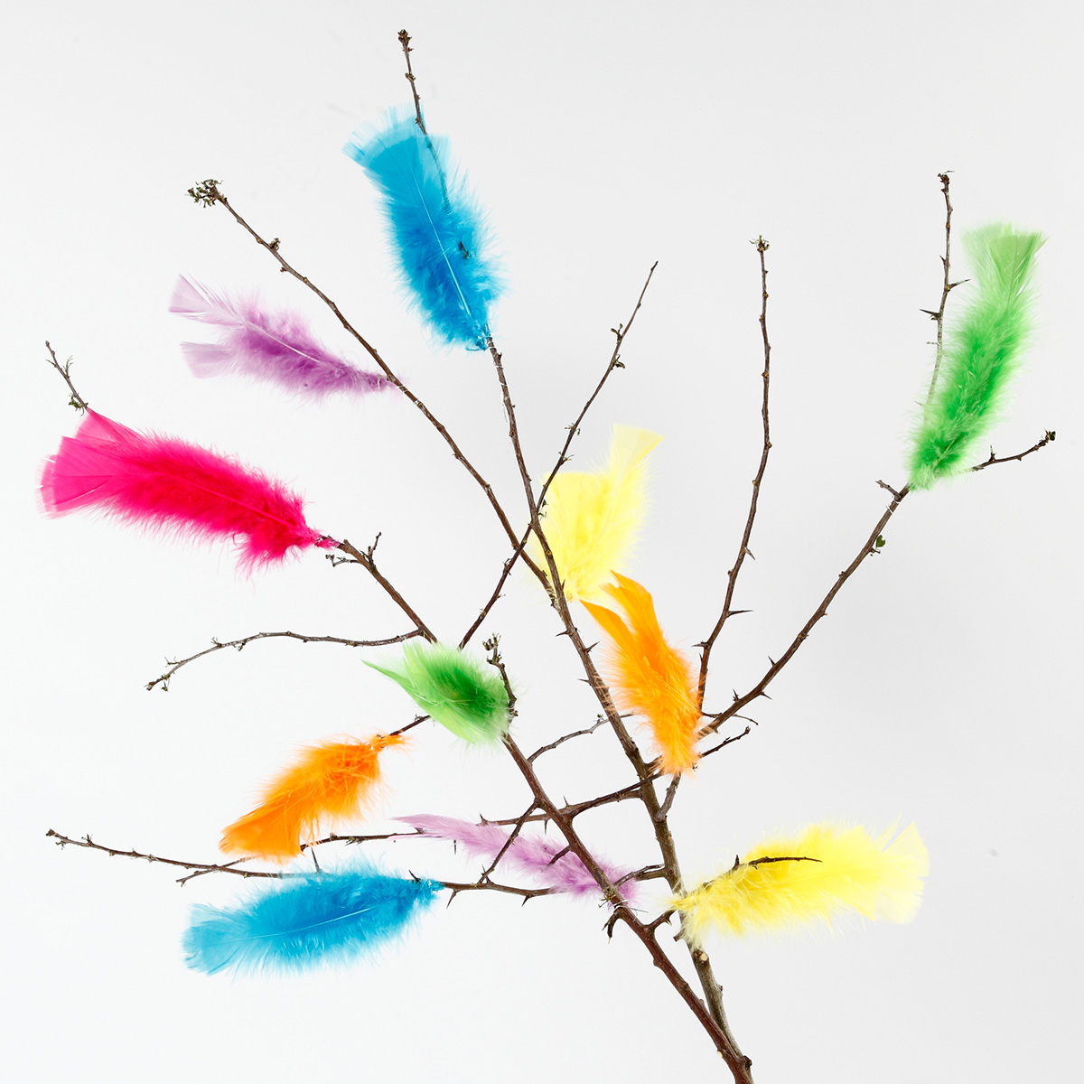50351846_1 Truthahnfedern 11-17cm 54 St./6 Farben