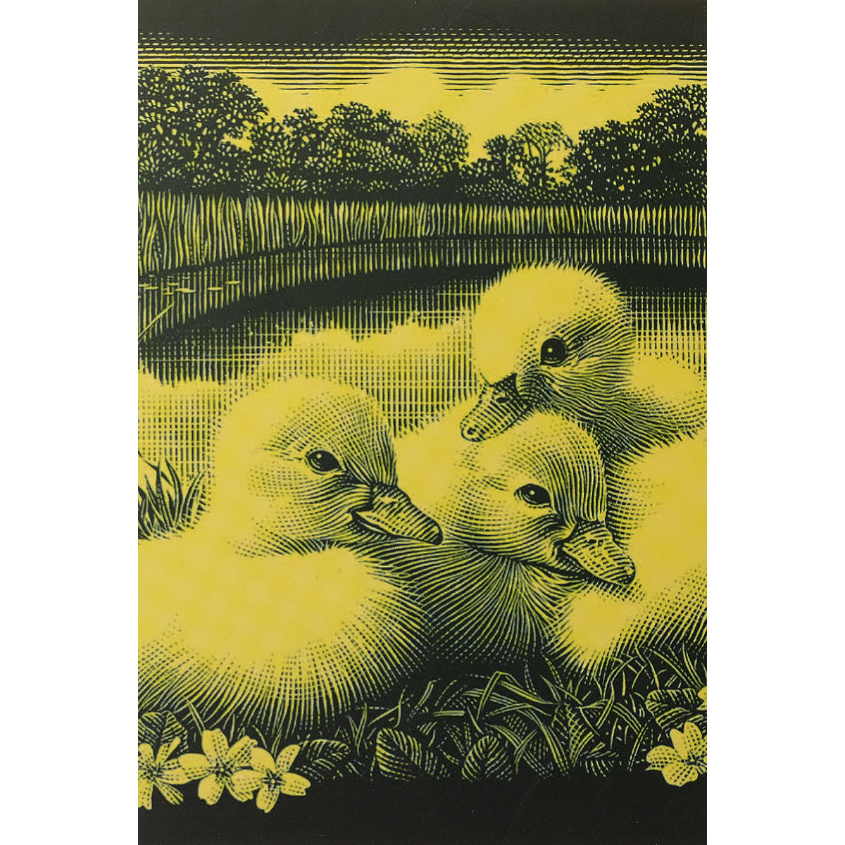 Kratzbild gold 20x25cm Küken