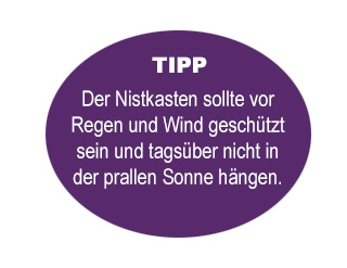VOGELHAUS_Tipp-1-2_320x247_desktopnK1hllwp57YWjaVo34goesyDmx