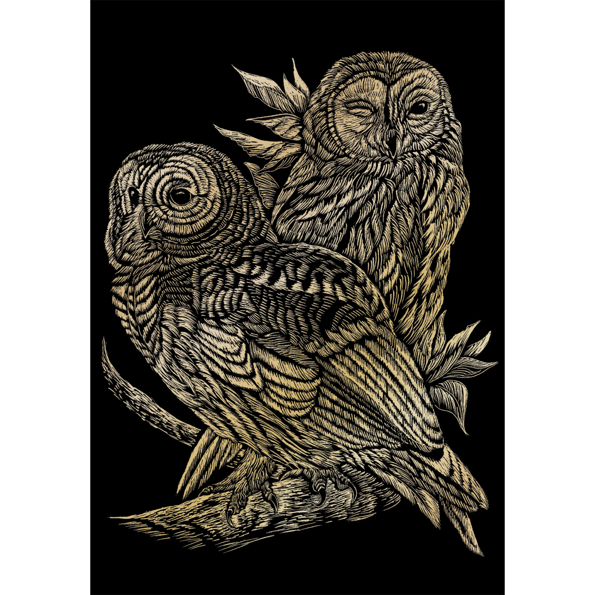 Kratzbild gold 20x25cm Eulen
