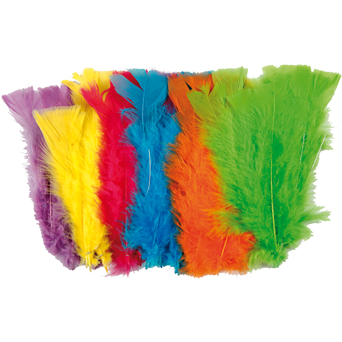 503518469iSmMYnkk6bad Truthahnfedern 11-17cm 54 St./6 Farben